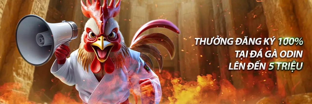 Hội viên VIP sumclub độc quyền với các đặc quyền cao cấp